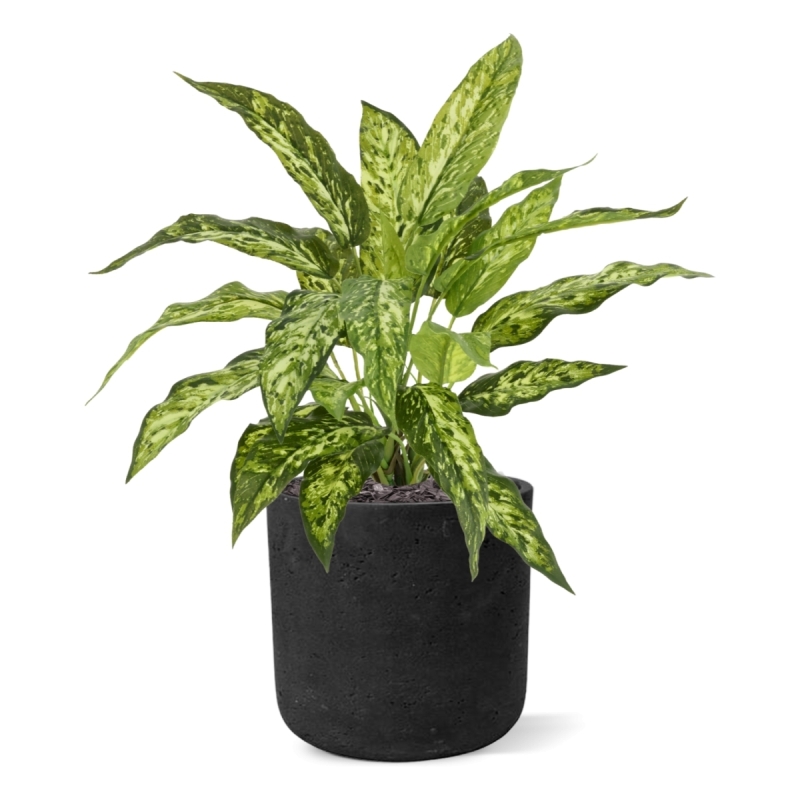Pianta Aglaonema N Artificiale 40cm