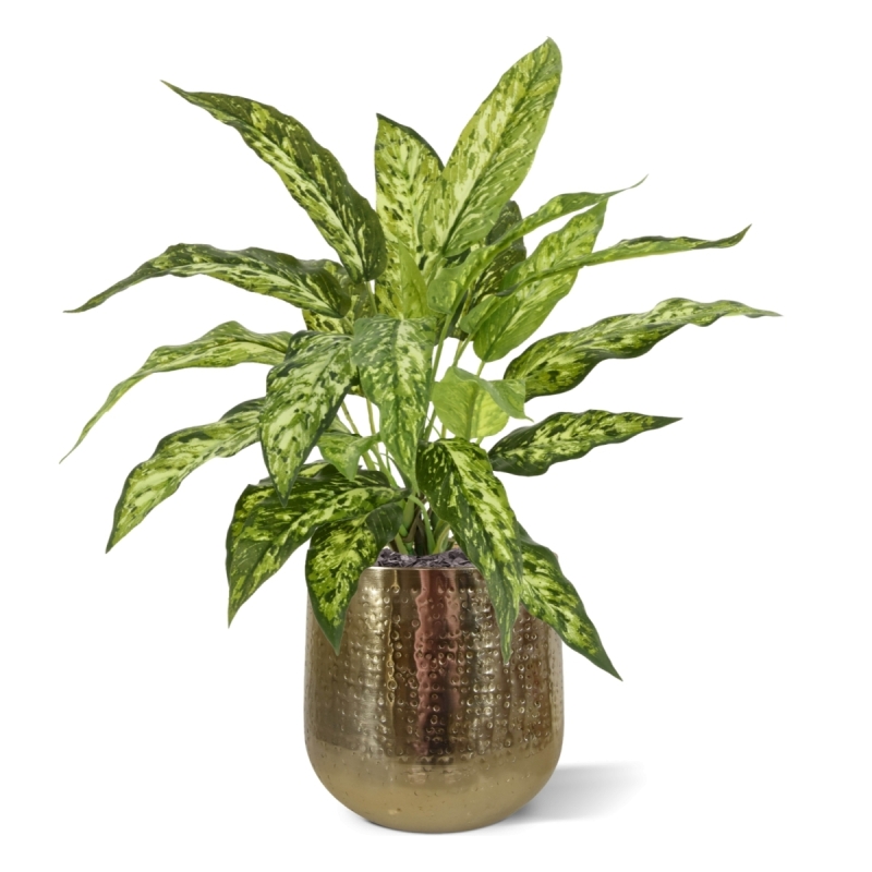 Pianta Aglaonema N Artificiale 40cm