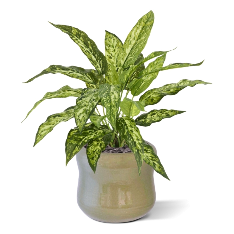 Pianta Aglaonema N Artificiale 40cm
