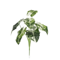 Alocasia Frydek Variegata Artificiale 60cm