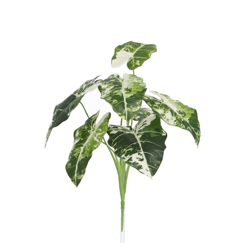 Alocasia Frydek Variegata Artificiale 60cm