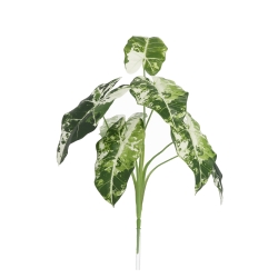 Alocasia Frydek Variegata Artificiale 60cm