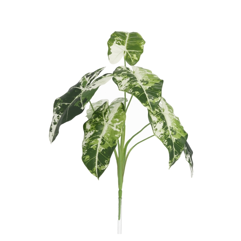 Alocasia Frydek Variegata Artificiale 60cm