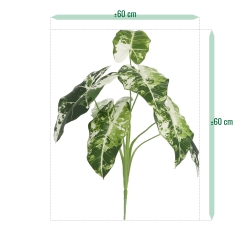 Alocasia Frydek Variegata Artificiale 60cm