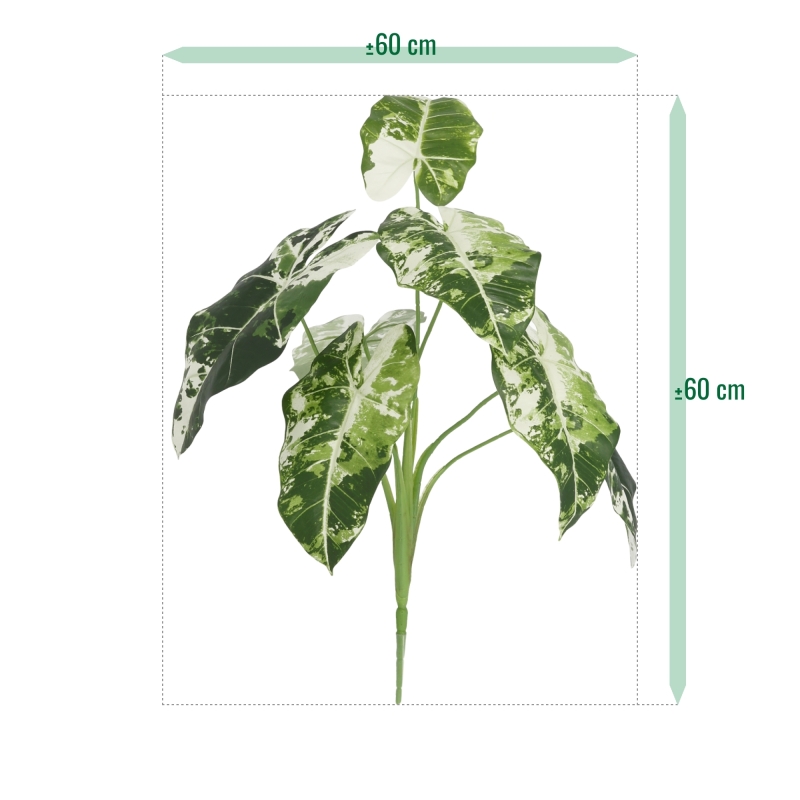 Alocasia Frydek Variegata Artificiale 60cm