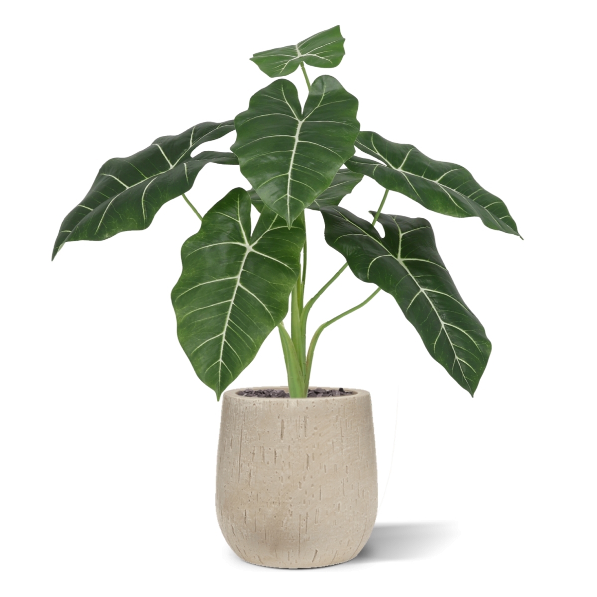 Alocasia Frydek Artificiale 60cm Verde