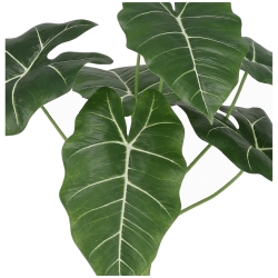Alocasia Frydek Artificiale 60cm Verde