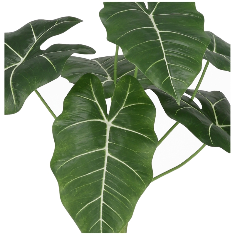 Alocasia Frydek Artificiale 60cm Verde