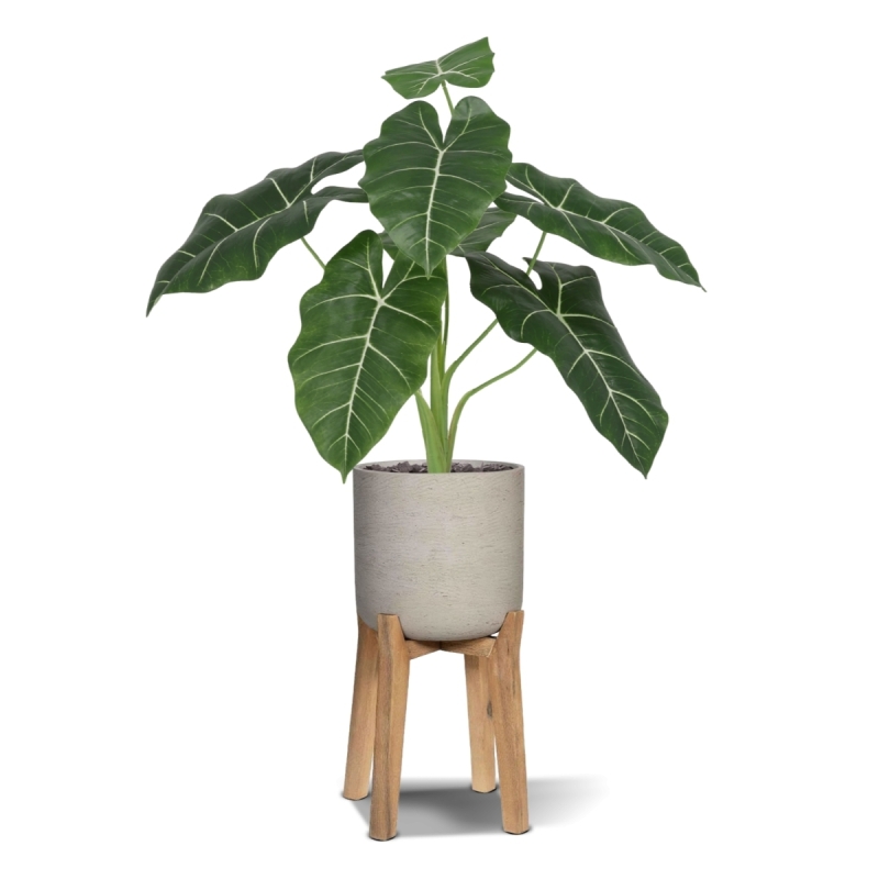 Alocasia Frydek Artificiale 60cm Verde