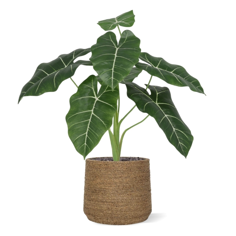 Alocasia Frydek Artificiale 60cm Verde