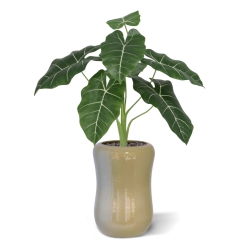 Alocasia Frydek Artificiale 60cm Verde