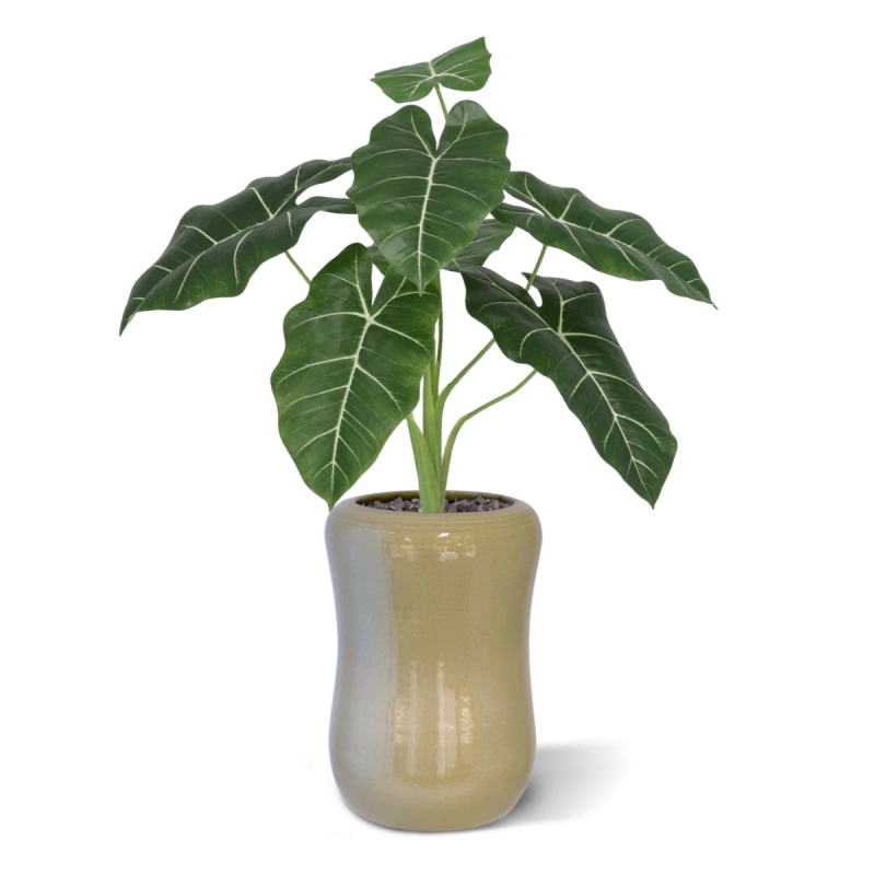 Alocasia Frydek Artificiale 60cm Verde