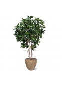 Albero artificiale Lyrata gigante Deluxe 420cm