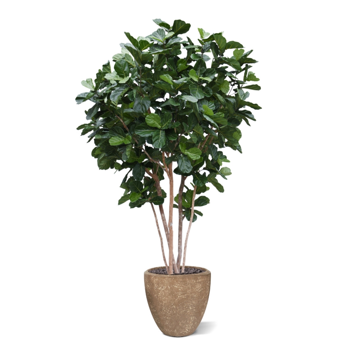Albero artificiale Lyrata gigante Deluxe 420cm