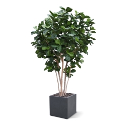 Albero artificiale Lyrata gigante Deluxe 420cm
