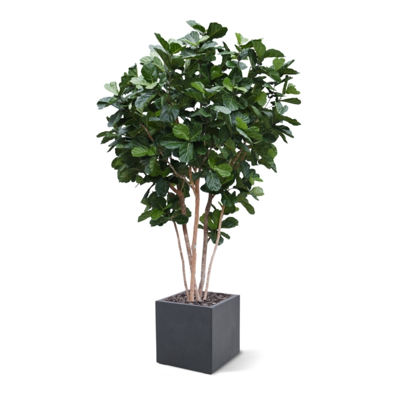 Albero artificiale Lyrata gigante Deluxe 420cm