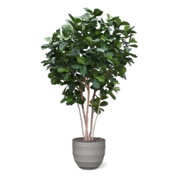 Albero artificiale Lyrata gigante Deluxe 420cm