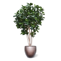Albero artificiale Lyrata gigante Deluxe 420cm