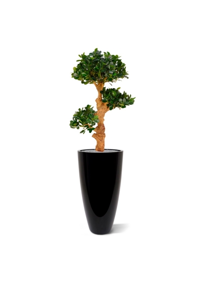 Panda Bonsai x3 albero artificiale su base 90cm
