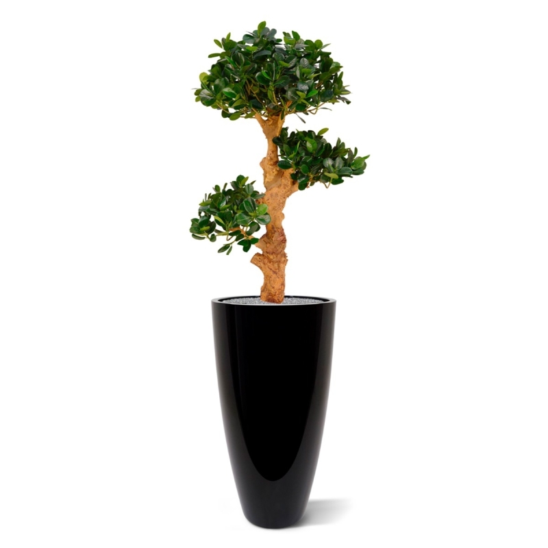 Panda Bonsai x3 albero artificiale su base 90cm