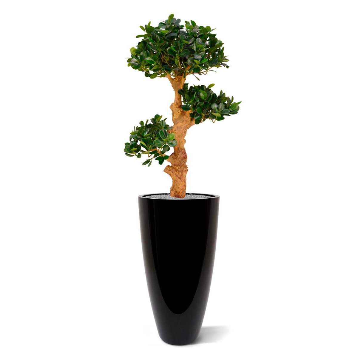 Panda Bonsai x3 albero artificiale su base 90cm