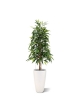 Albero artificiale Longifolia Royal 150 cm