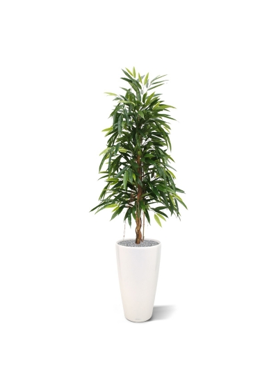 Albero artificiale Longifolia Royal 150 cm