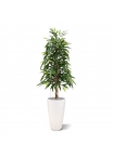 Albero artificiale Longifolia Royal 150 cm