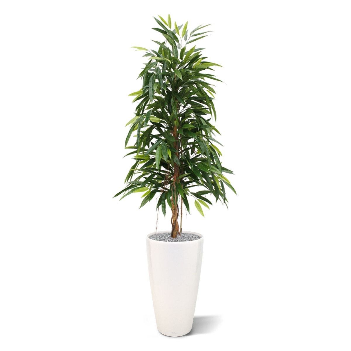 Albero artificiale Longifolia Royal 150 cm