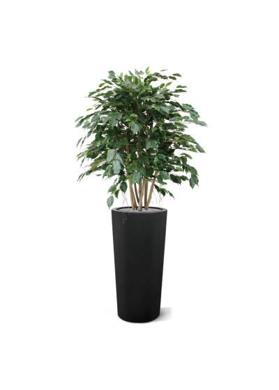 Ficus Exotica XL pianta artificiale 110 cm