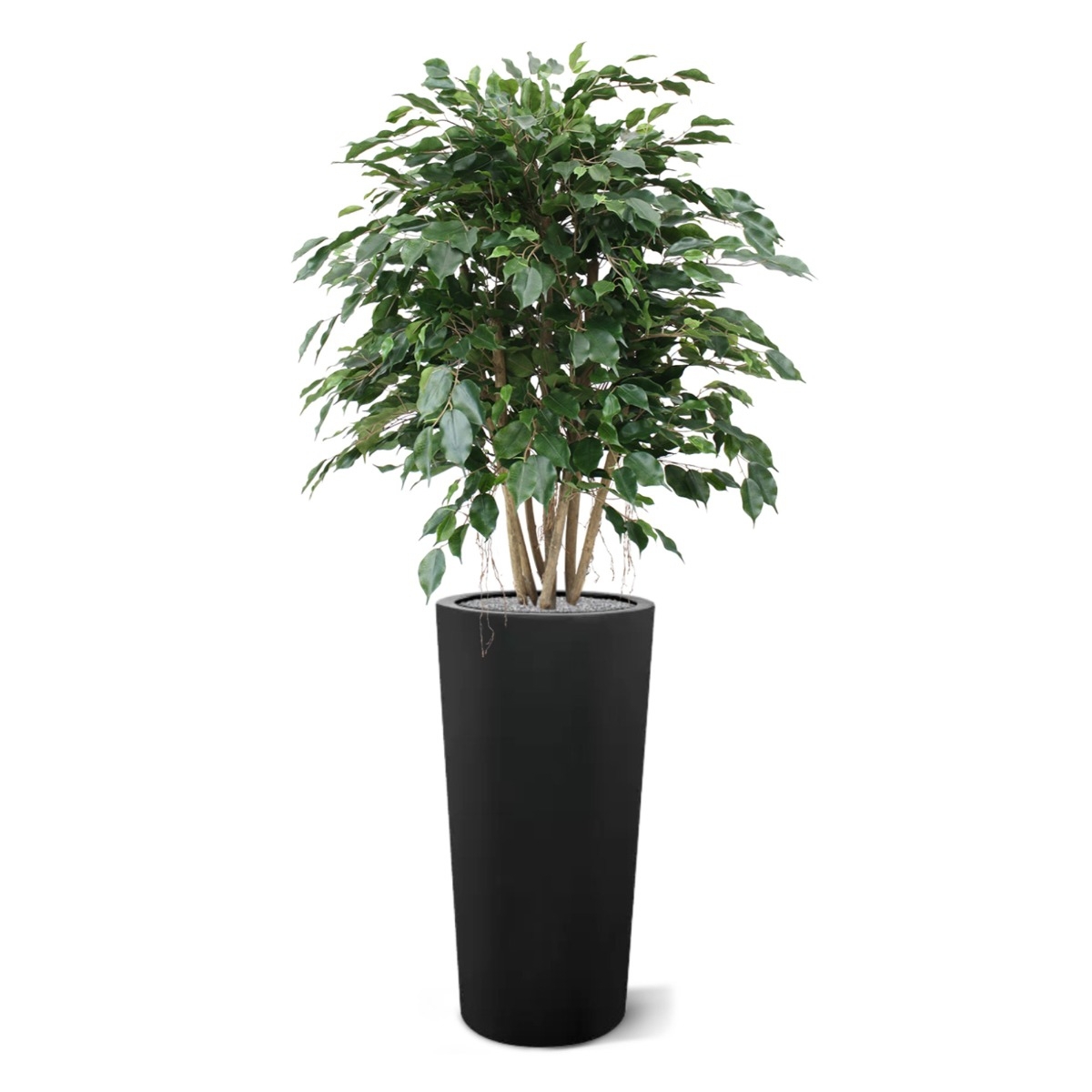 Ficus Exotica XL pianta artificiale 110 cm