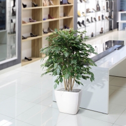 Ficus Exotica XL pianta artificiale 110 cm