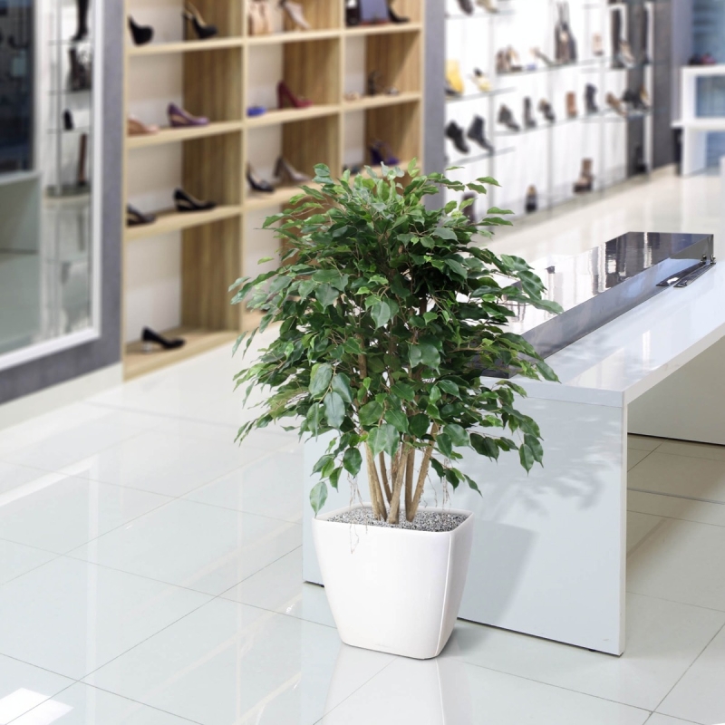 Ficus Exotica XL pianta artificiale 110 cm