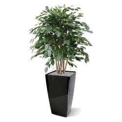 Ficus Exotica XL pianta artificiale 110 cm