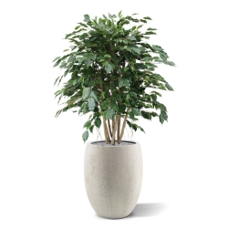 Ficus Exotica XL pianta artificiale 110 cm