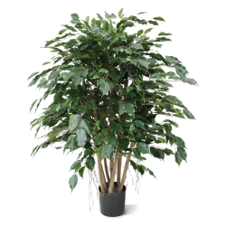Ficus Exotica XL pianta artificiale 110 cm
