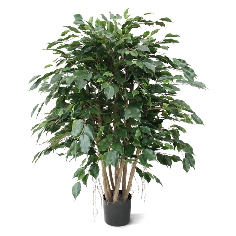 Ficus Exotica XL pianta artificiale 110 cm