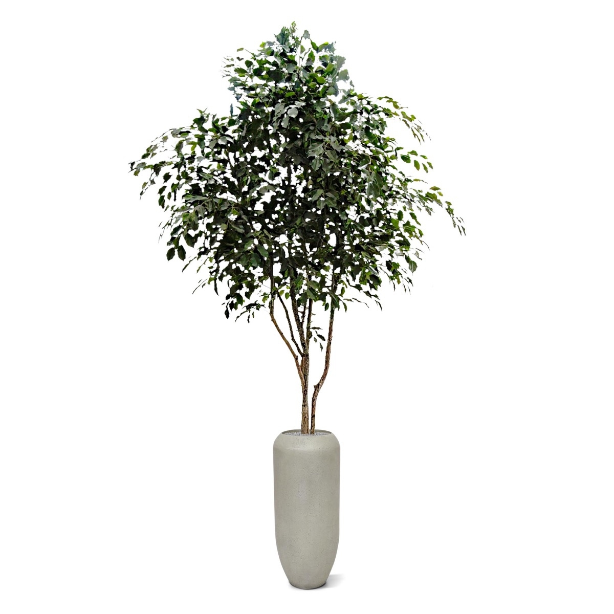 Albero artificiale Ficus Exotica 330 cm