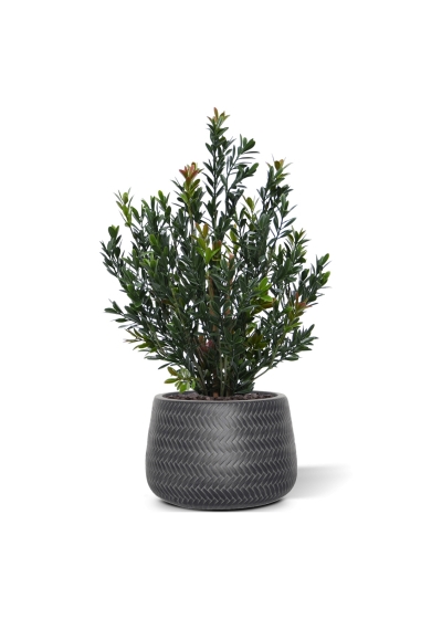 Pianta artificiale di bosso da siepe 50cm verde-rosso