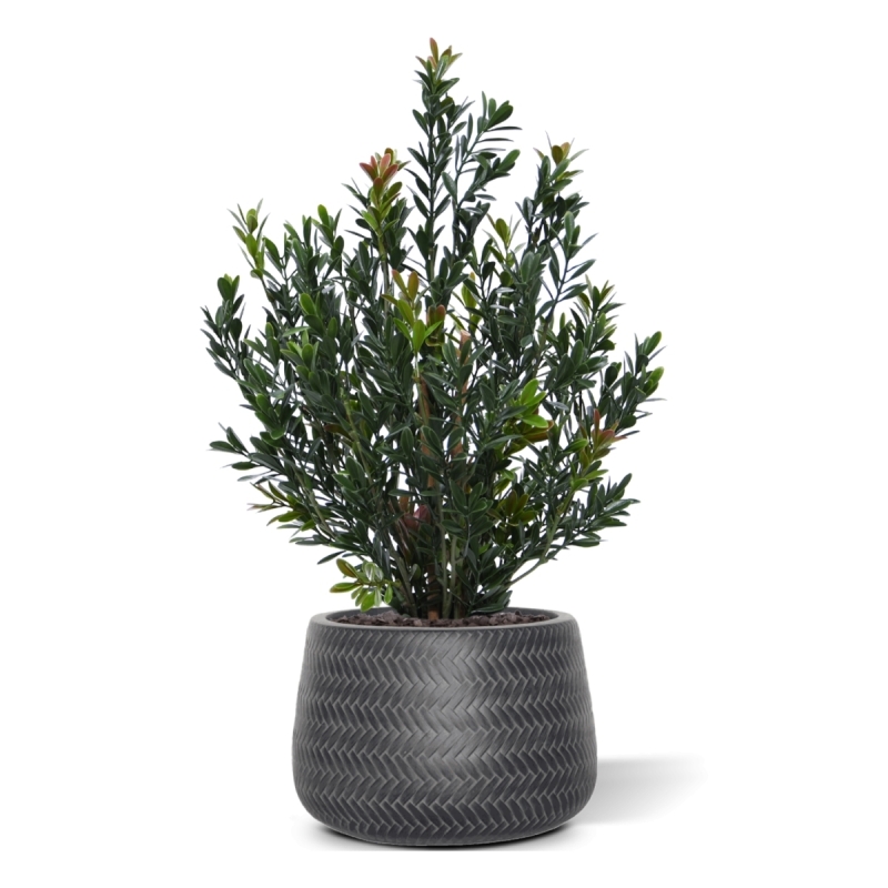 Pianta artificiale di bosso da siepe 50cm verde-rosso