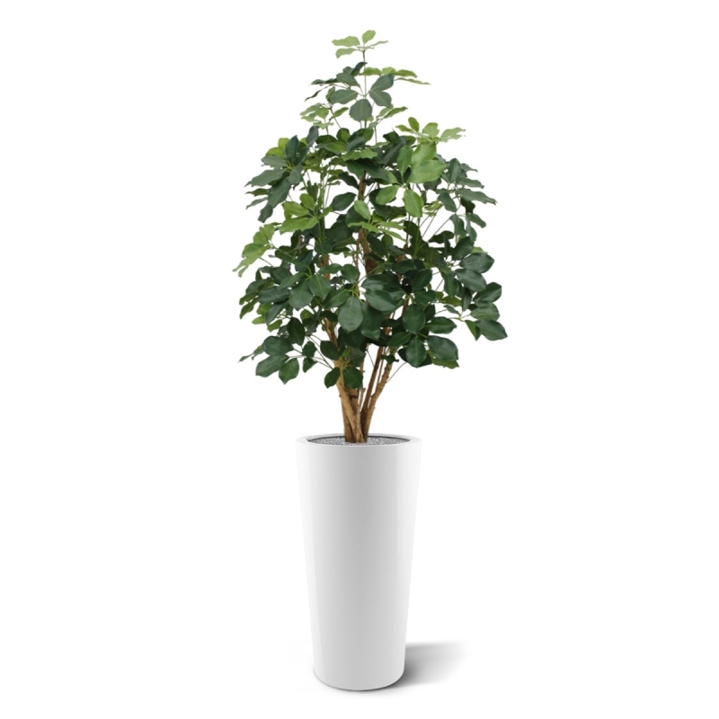 Schefflera Exotica pianta artificiale 120 cm - FR - ignifuga