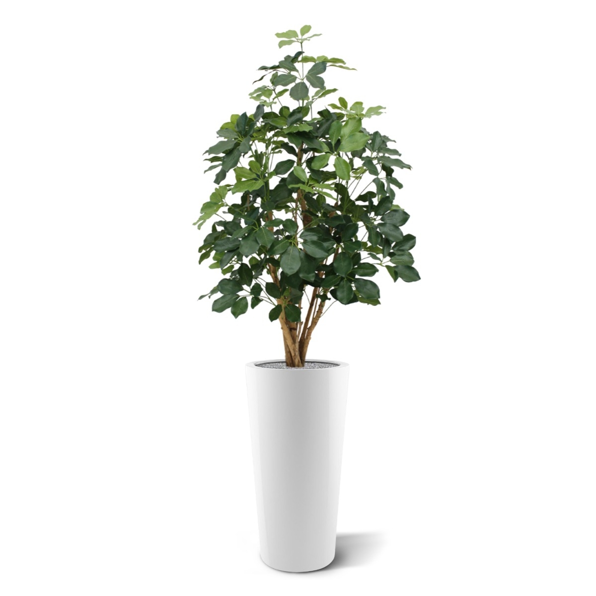Schefflera Exotica pianta artificiale 120 cm - FR - ignifuga