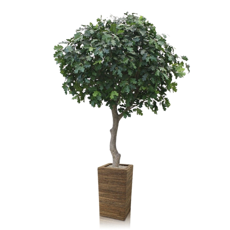 Albero di quercia artificiale gigante Deluxe 300 cm