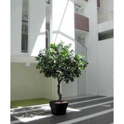 Albero di quercia artificiale gigante Deluxe 300 cm