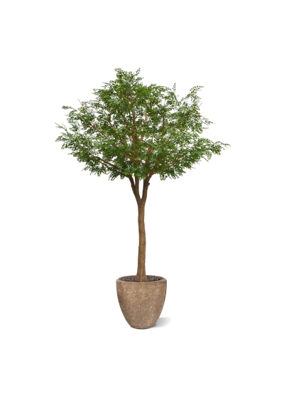 Albero artificiale di Murraya deluxe XXL 370 cm