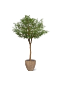 Albero artificiale di Murraya deluxe XXL 370 cm
