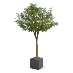 Albero artificiale di Murraya deluxe XXL 370 cm