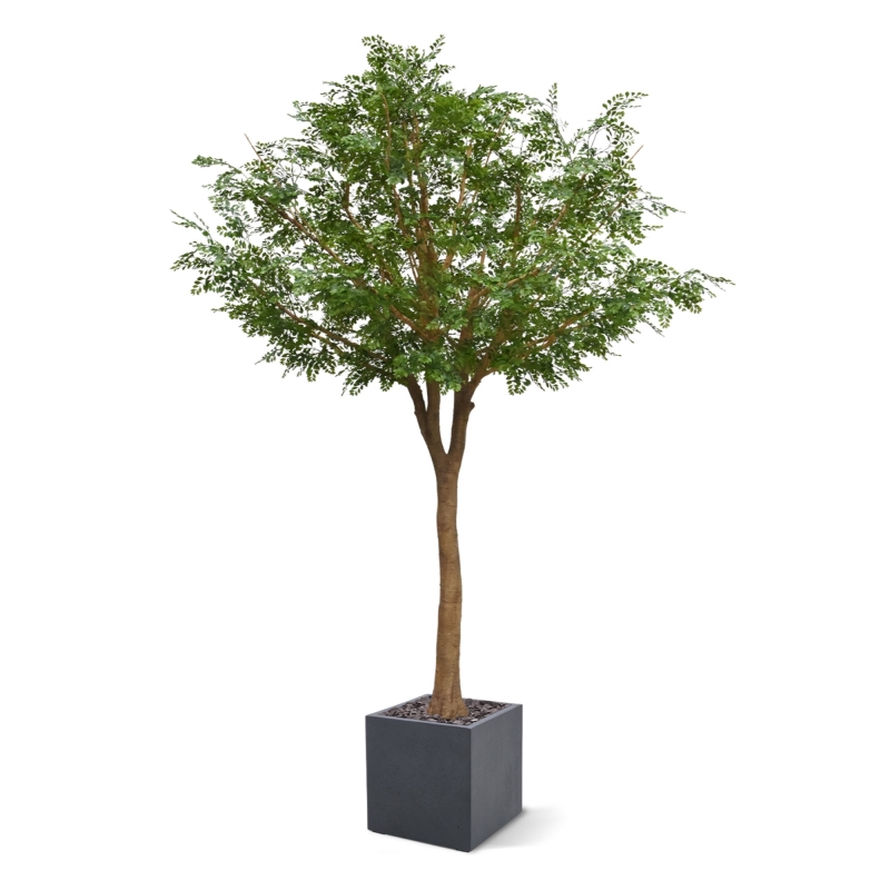 Albero artificiale di Murraya deluxe XXL 370 cm