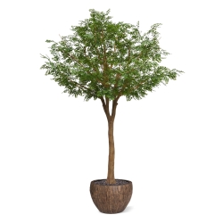Albero artificiale di Murraya deluxe XXL 370 cm