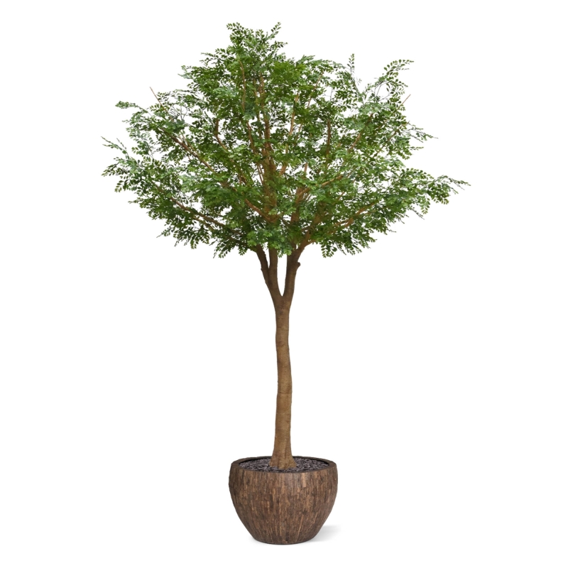 Albero artificiale di Murraya deluxe XXL 370 cm
